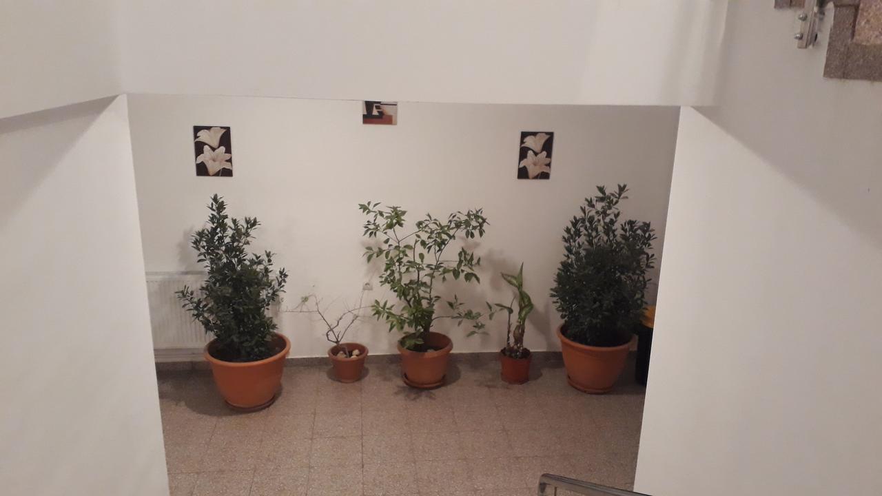 Casa Dobrescu Centura De Nord Ξενοδοχείο Κραϊόβα Εξωτερικό φωτογραφία